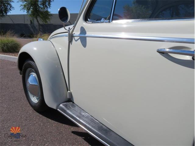 1962 Volkswagen Beetle (CC-2030339) for sale in Mesa, Arizona
