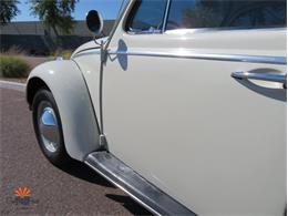1962 Volkswagen Beetle (CC-2030339) for sale in Mesa, Arizona