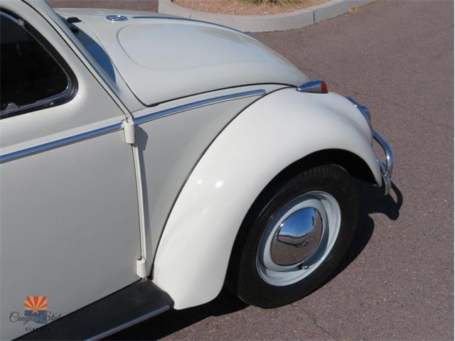 1962 Volkswagen Beetle (CC-2030339) for sale in Mesa, Arizona