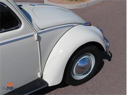 1962 Volkswagen Beetle (CC-2030339) for sale in Mesa, Arizona