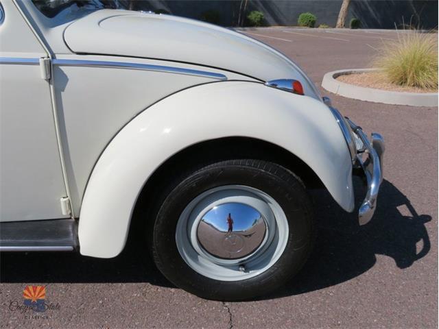 1962 Volkswagen Beetle (CC-2030339) for sale in Mesa, Arizona