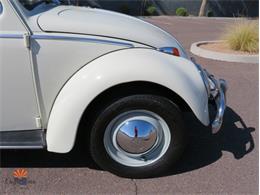 1962 Volkswagen Beetle (CC-2030339) for sale in Mesa, Arizona