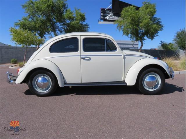 1962 Volkswagen Beetle (CC-2030339) for sale in Mesa, Arizona