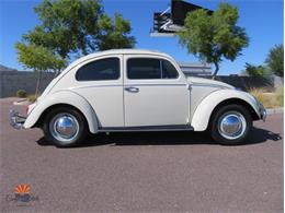 1962 Volkswagen Beetle (CC-2030339) for sale in Mesa, Arizona