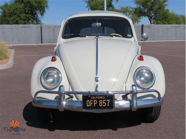 1962 Volkswagen Beetle (CC-2030339) for sale in Mesa, Arizona