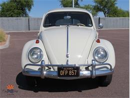 1962 Volkswagen Beetle (CC-2030339) for sale in Mesa, Arizona