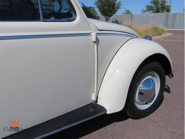 1962 Volkswagen Beetle (CC-2030339) for sale in Mesa, Arizona