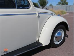 1962 Volkswagen Beetle (CC-2030339) for sale in Mesa, Arizona