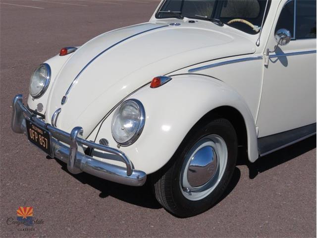1962 Volkswagen Beetle (CC-2030339) for sale in Mesa, Arizona