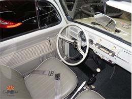 1962 Volkswagen Beetle (CC-2030339) for sale in Mesa, Arizona