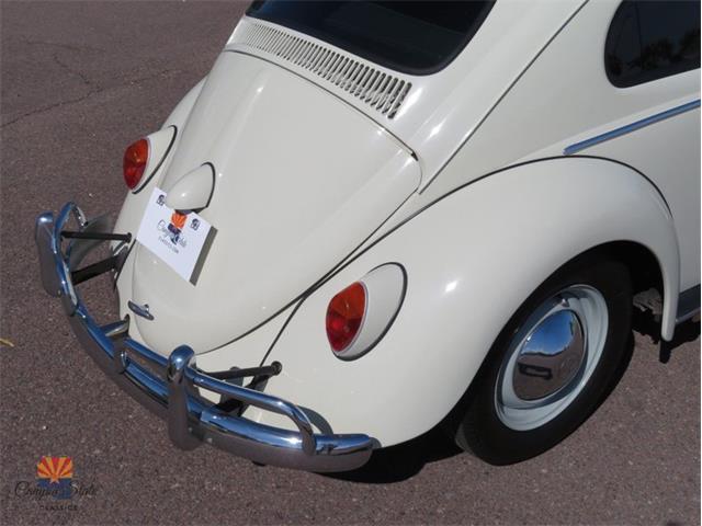 1962 Volkswagen Beetle (CC-2030339) for sale in Mesa, Arizona