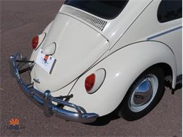 1962 Volkswagen Beetle (CC-2030339) for sale in Mesa, Arizona