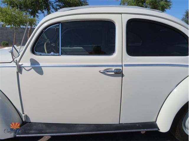 1962 Volkswagen Beetle (CC-2030339) for sale in Mesa, Arizona