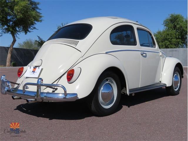 1962 Volkswagen Beetle (CC-2030339) for sale in Mesa, Arizona