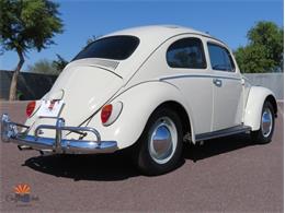1962 Volkswagen Beetle (CC-2030339) for sale in Mesa, Arizona