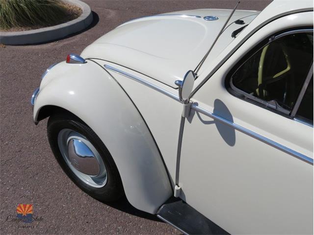 1962 Volkswagen Beetle (CC-2030339) for sale in Mesa, Arizona