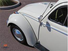 1962 Volkswagen Beetle (CC-2030339) for sale in Mesa, Arizona