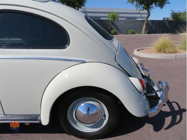 1962 Volkswagen Beetle (CC-2030339) for sale in Mesa, Arizona