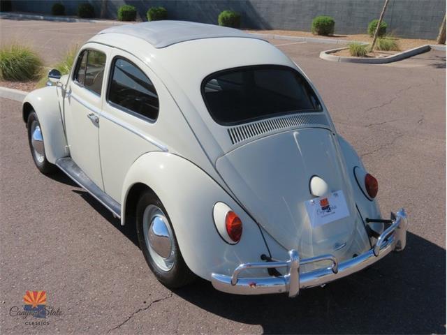1962 Volkswagen Beetle (CC-2030339) for sale in Mesa, Arizona
