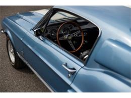 1967 Shelby GT (CC-2030356) for sale in Green Brook, New Jersey
