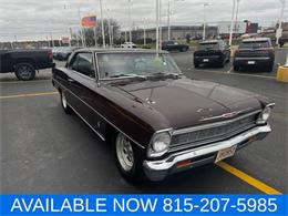 1966 Chevrolet Nova (CC-2034912) for sale in Joliet, Illinois