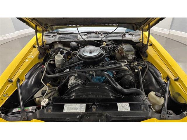 1981 Chevrolet Camaro (CC-2035786) for sale in Clearwater, Florida