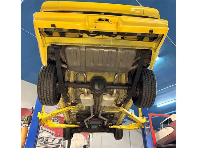 1981 Chevrolet Camaro (CC-2035786) for sale in Clearwater, Florida