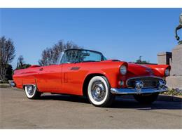 1956 Ford Thunderbird (CC-2035845) for sale in Fort Worth, Texas