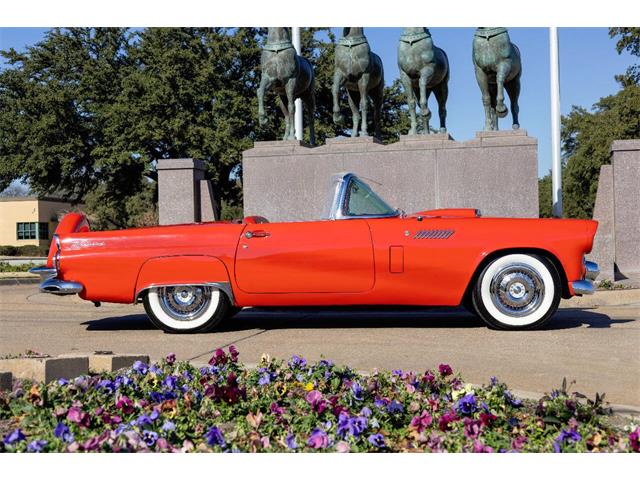 1956 Ford Thunderbird (CC-2035845) for sale in Fort Worth, Texas
