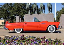 1956 Ford Thunderbird (CC-2035845) for sale in Fort Worth, Texas