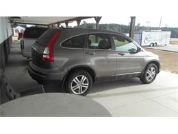 2010 Honda CRV (CC-2036100) for sale in Greenville, North Carolina