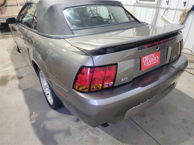2001 Ford Mustang SVT Cobra (CC-2036387) for sale in Spirit Lake, Iowa