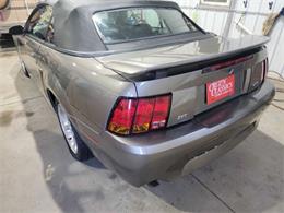 2001 Ford Mustang SVT Cobra (CC-2036387) for sale in Spirit Lake, Iowa