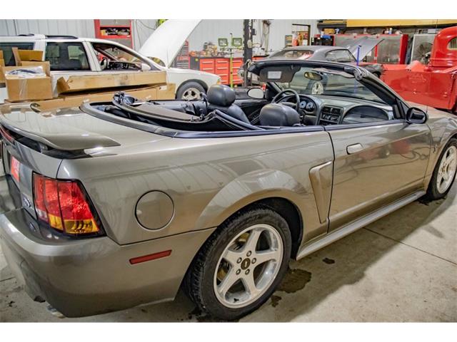 2001 Ford Mustang SVT Cobra (CC-2036387) for sale in Spirit Lake, Iowa