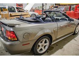 2001 Ford Mustang SVT Cobra (CC-2036387) for sale in Spirit Lake, Iowa