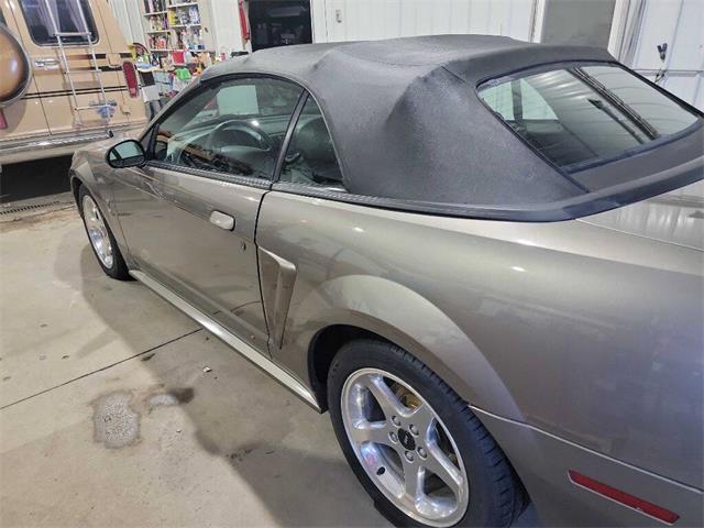 2001 Ford Mustang SVT Cobra (CC-2036387) for sale in Spirit Lake, Iowa