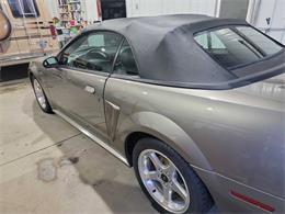 2001 Ford Mustang SVT Cobra (CC-2036387) for sale in Spirit Lake, Iowa