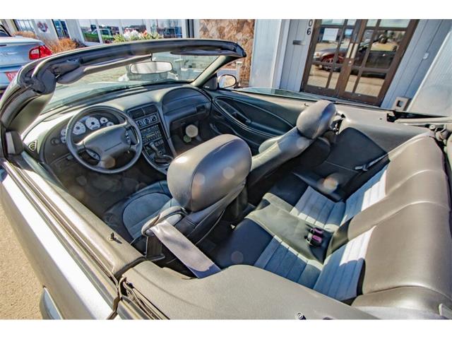 2001 Ford Mustang SVT Cobra (CC-2036387) for sale in Spirit Lake, Iowa
