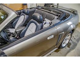 2001 Ford Mustang SVT Cobra (CC-2036387) for sale in Spirit Lake, Iowa