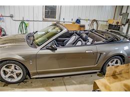 2001 Ford Mustang SVT Cobra (CC-2036387) for sale in Spirit Lake, Iowa