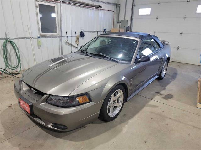 2001 Ford Mustang SVT Cobra (CC-2036387) for sale in Spirit Lake, Iowa