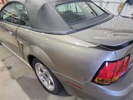 2001 Ford Mustang SVT Cobra (CC-2036387) for sale in Spirit Lake, Iowa