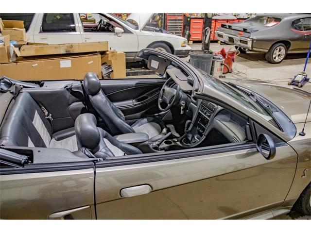 2001 Ford Mustang SVT Cobra (CC-2036387) for sale in Spirit Lake, Iowa