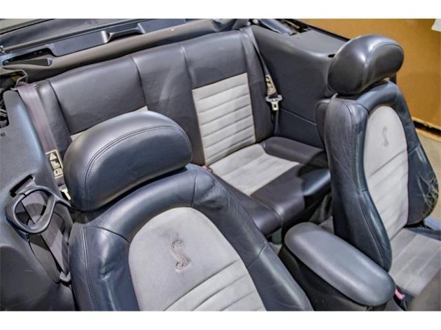 2001 Ford Mustang SVT Cobra (CC-2036387) for sale in Spirit Lake, Iowa