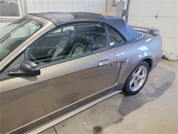 2001 Ford Mustang SVT Cobra (CC-2036387) for sale in Spirit Lake, Iowa