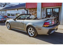 2001 Ford Mustang SVT Cobra (CC-2036387) for sale in Spirit Lake, Iowa