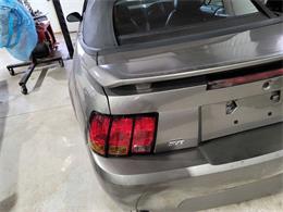 2001 Ford Mustang SVT Cobra (CC-2036387) for sale in Spirit Lake, Iowa
