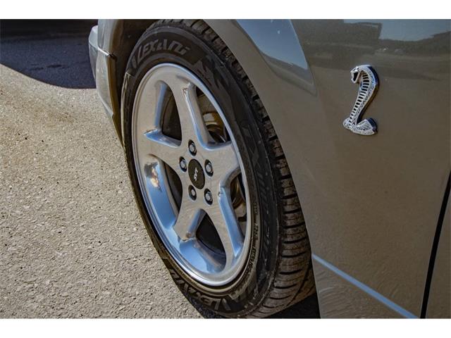 2001 Ford Mustang SVT Cobra (CC-2036387) for sale in Spirit Lake, Iowa
