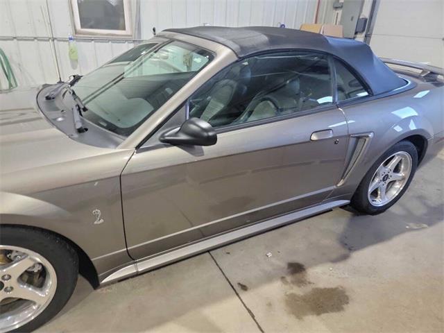 2001 Ford Mustang SVT Cobra (CC-2036387) for sale in Spirit Lake, Iowa