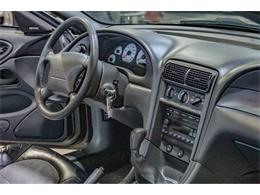 2001 Ford Mustang SVT Cobra (CC-2036387) for sale in Spirit Lake, Iowa